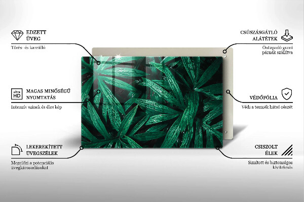 Placă din sticla protectie plita Frunze de plante