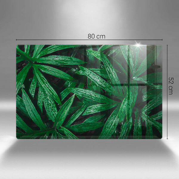 Placă din sticla protectie plita Frunze de plante