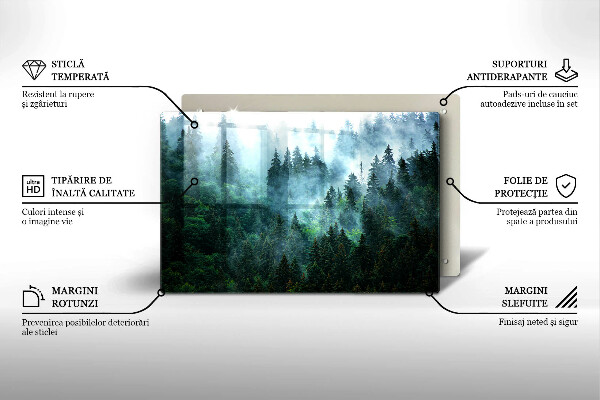 Placă din sticla protectie perete Pădure în ceață