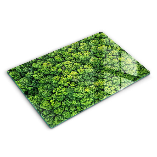 Placă din sticla protectie perete Plantă de muşchi din natură