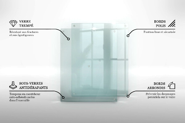 Placă protecție transparentă plita 2x40x52 cm