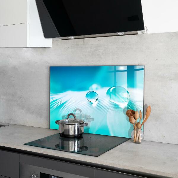 Panou sticlă bucătărie Roua pe pene delicate