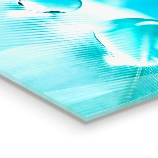 Panou sticlă bucătărie Roua pe pene delicate