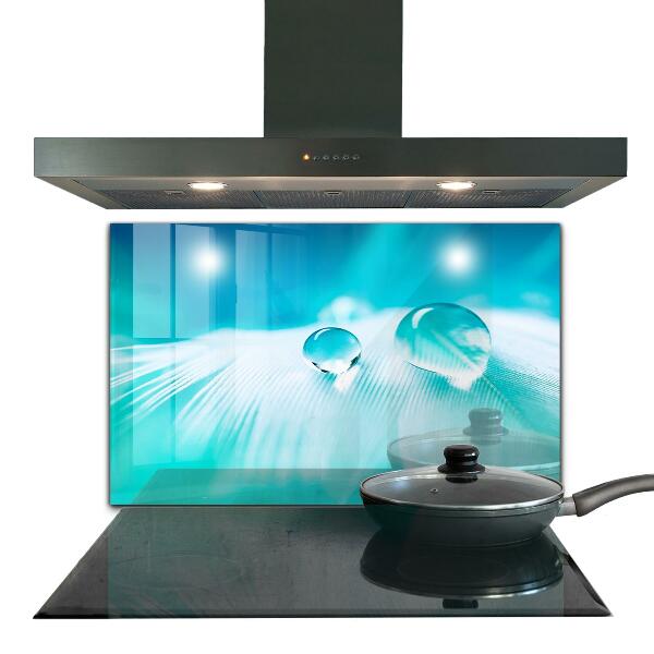 Panou sticlă bucătărie Roua pe pene delicate