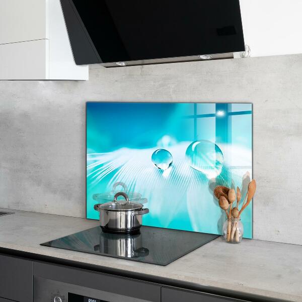 Panou sticlă bucătărie Roua pe pene delicate