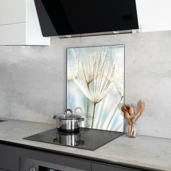 Sticlă printata bucătărie Păpădie păpădia în vânt