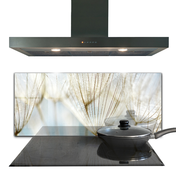 Sticlă printata bucătărie Păpădie păpădia în vânt