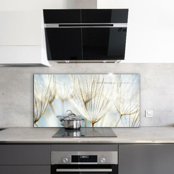 Sticlă printata bucătărie Păpădie păpădia în vânt