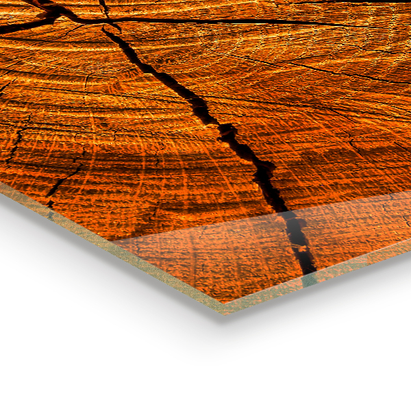 Sticlă pentru bucătărie Structura trunchiului