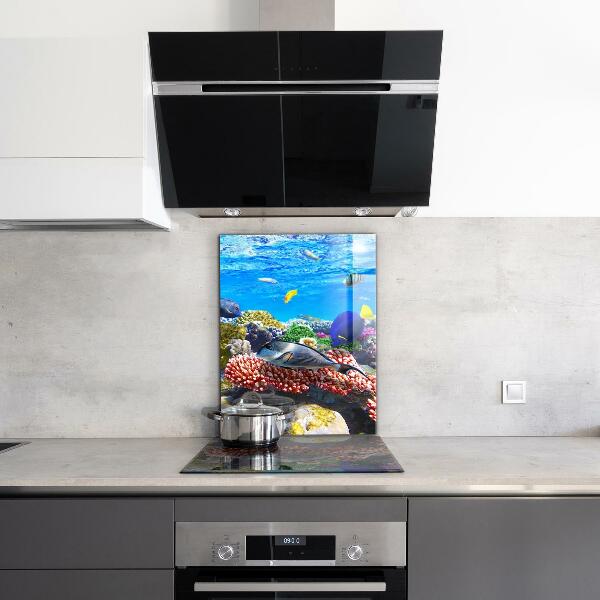 Sticlă bucătărie Recif de corali la marea roșie
