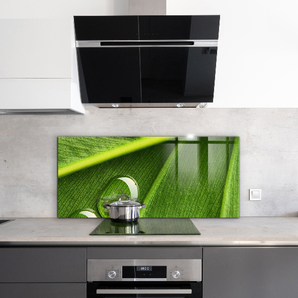 Sticlă bucătărie Picătură de rouă pe o frunză