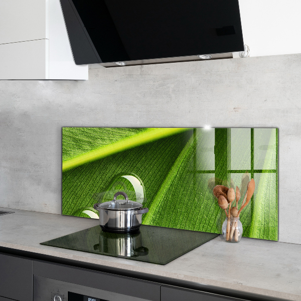 Sticlă bucătărie Picătură de rouă pe o frunză