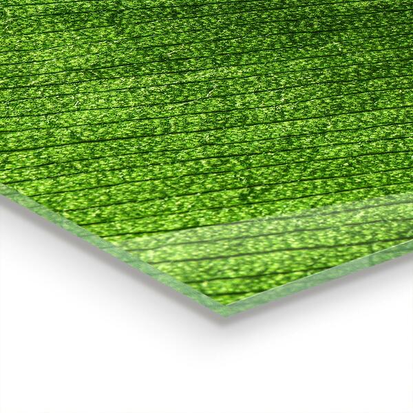 Sticlă bucătărie Picătură de rouă pe o frunză