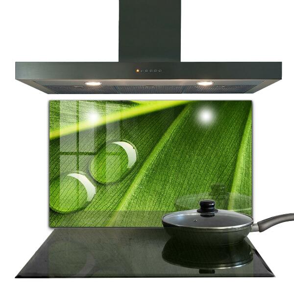 Sticlă bucătărie Picătură de rouă pe o frunză