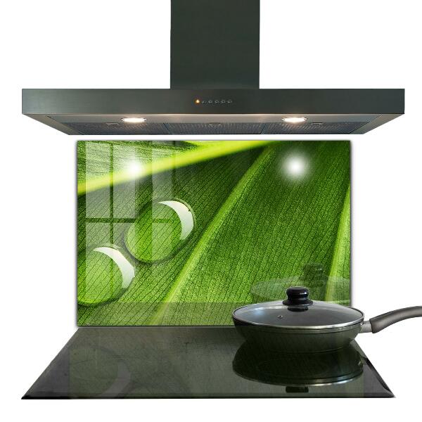 Sticlă bucătărie Picătură de rouă pe o frunză