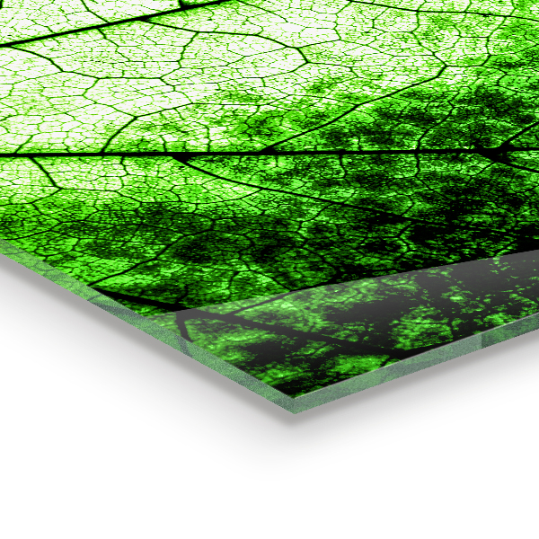 Sticlă printata bucătărie Textura frunzelor verzi
