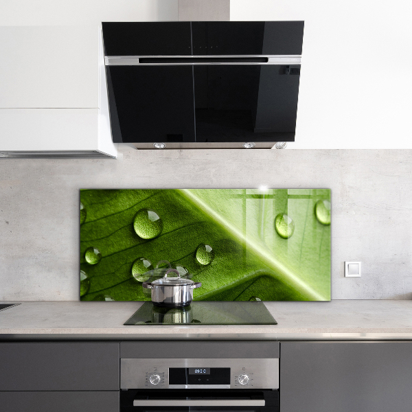 Sticlă printata bucătărie Frunză cu picături de rouă a dimineții