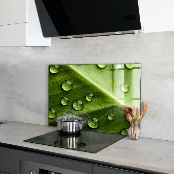 Sticlă printata bucătărie Frunză cu picături de rouă a dimineții