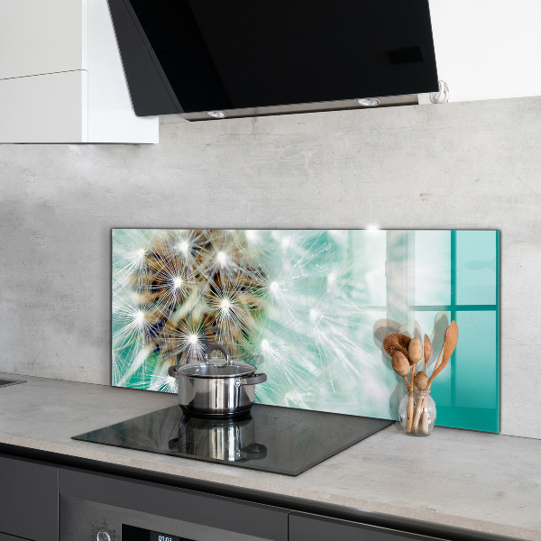 Sticlă printata bucătărie Papadie în planta de vânt