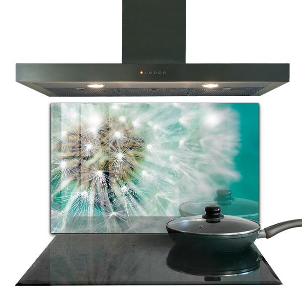 Sticlă printata bucătărie Papadie în planta de vânt