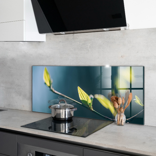 Sticlă bucătărie Frunză strălucitoare pe ramură