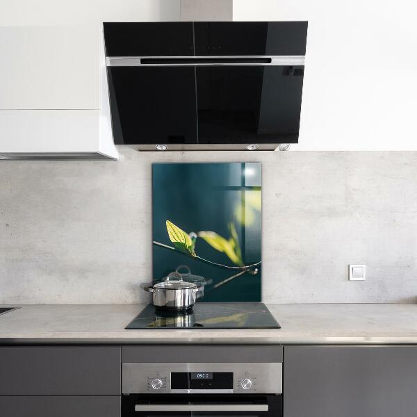 Sticlă bucătărie Frunză strălucitoare pe ramură