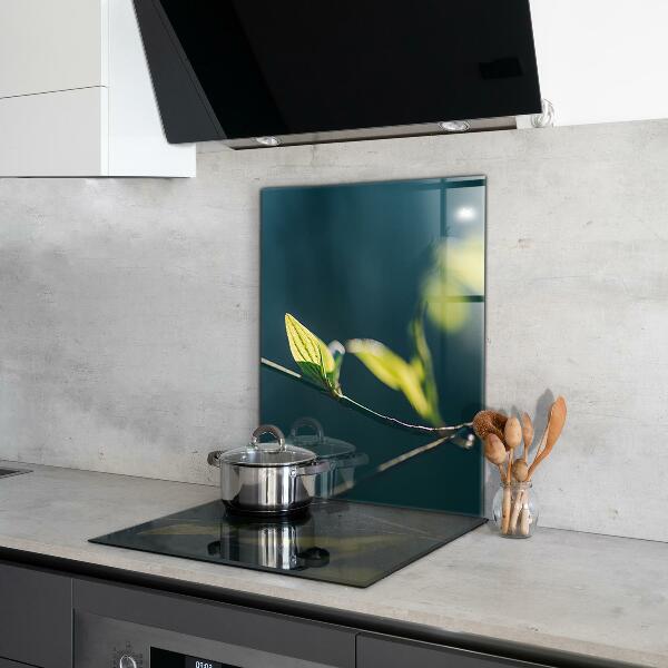 Sticlă bucătărie Frunză strălucitoare pe ramură