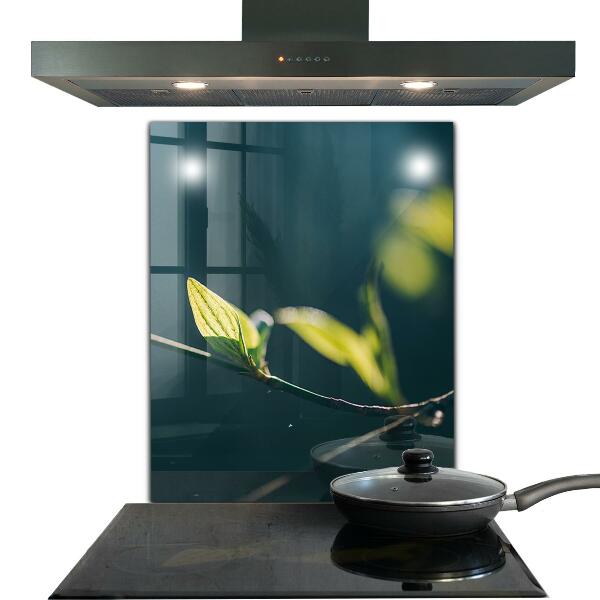 Sticlă bucătărie Frunză strălucitoare pe ramură