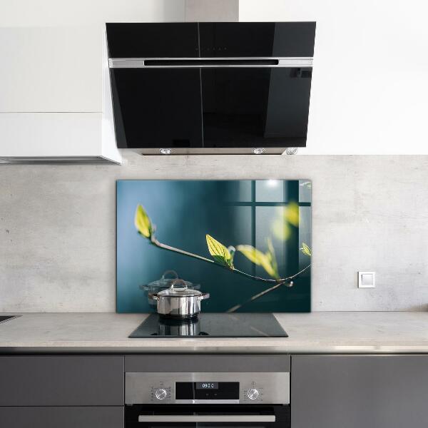 Sticlă bucătărie Frunză strălucitoare pe ramură