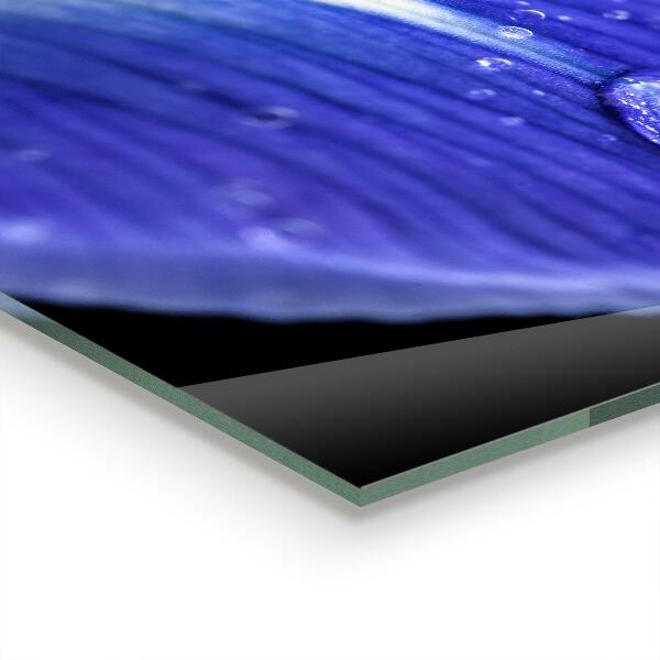 Sticlă bucătărie Floare de iris violet