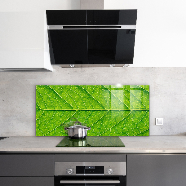 Sticlă bucătărie Detalii delicate ale frunzei