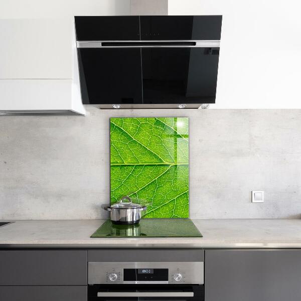 Sticlă bucătărie Detalii delicate ale frunzei
