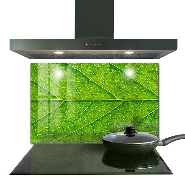 Sticlă bucătărie Detalii delicate ale frunzei