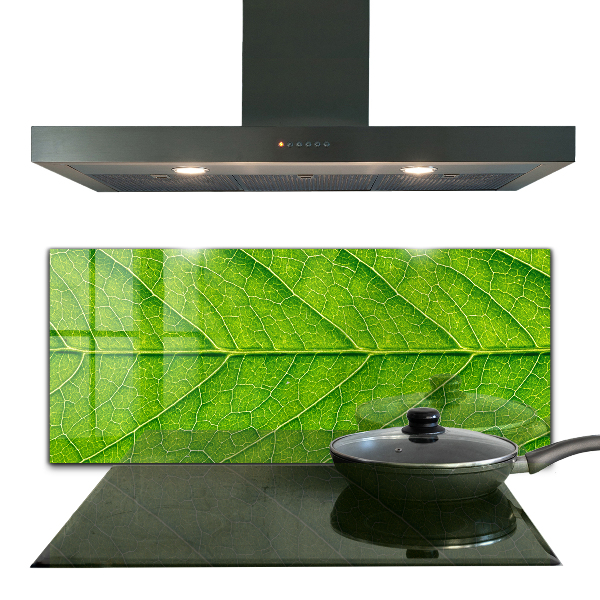 Sticlă bucătărie Detalii delicate ale frunzei