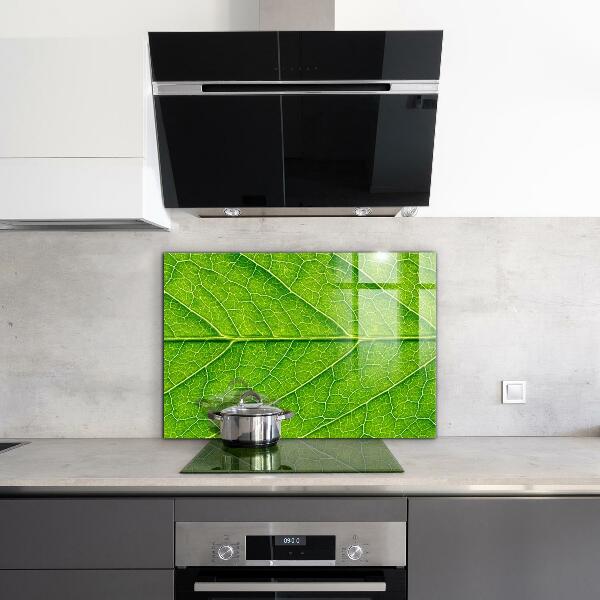 Sticlă bucătărie Detalii delicate ale frunzei