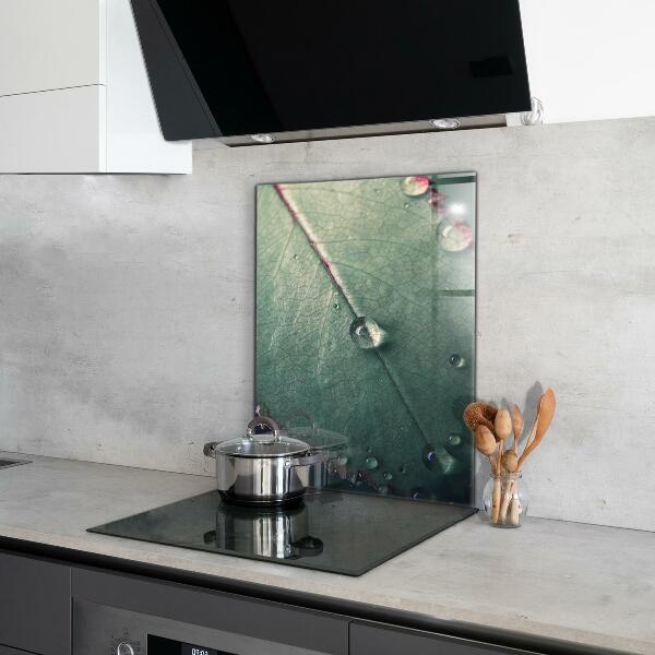 Sticlă bucătărie Frunză cu picătură de rouă