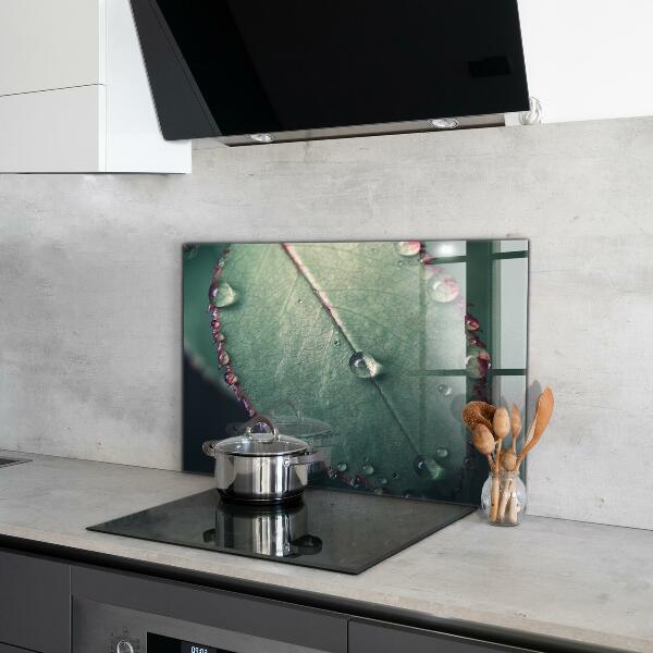 Sticlă bucătărie Frunză cu picătură de rouă