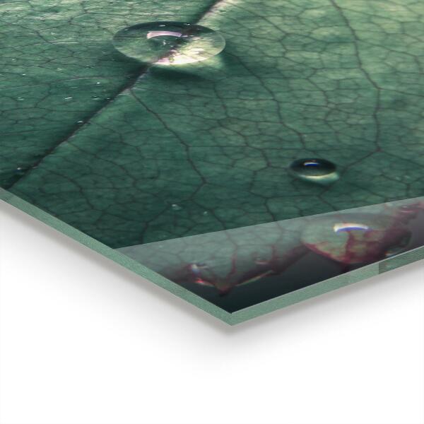 Sticlă bucătărie Frunză cu picătură de rouă