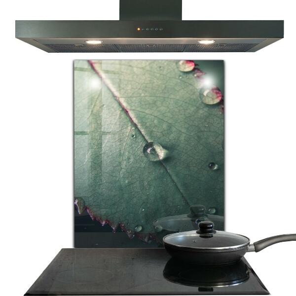 Sticlă bucătărie Frunză cu picătură de rouă