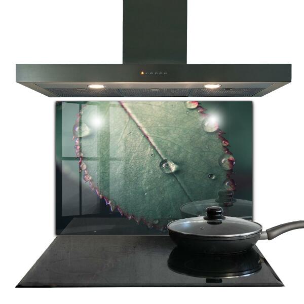 Sticlă bucătărie Frunză cu picătură de rouă