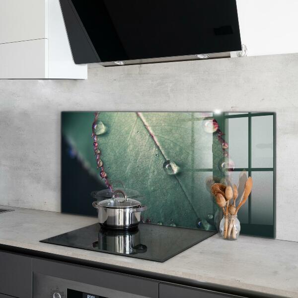 Sticlă bucătărie Frunză cu picătură de rouă