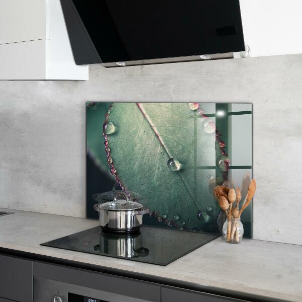 Sticlă bucătărie Frunză cu picătură de rouă