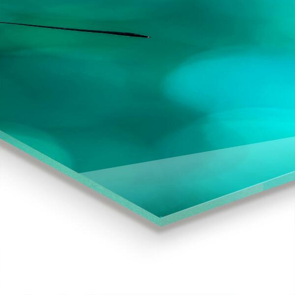 Sticlă bucătărie Fluture frumos în natură