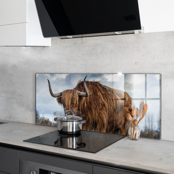 Sticlă bucătărie Vaca highland boho