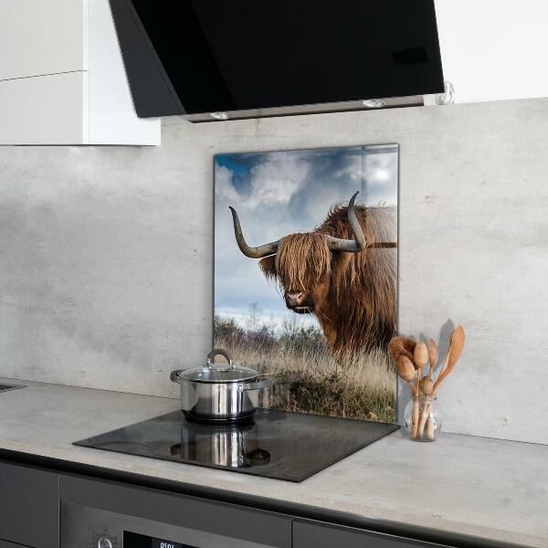 Sticlă bucătărie Vaca highland boho