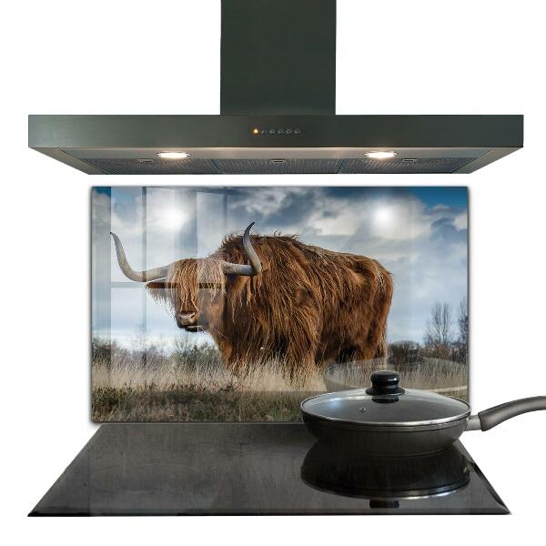 Sticlă bucătărie Vaca highland boho