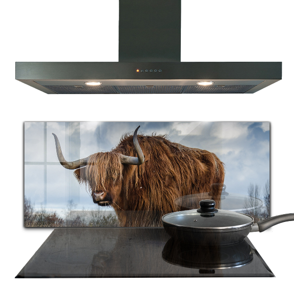 Sticlă bucătărie Vaca highland boho