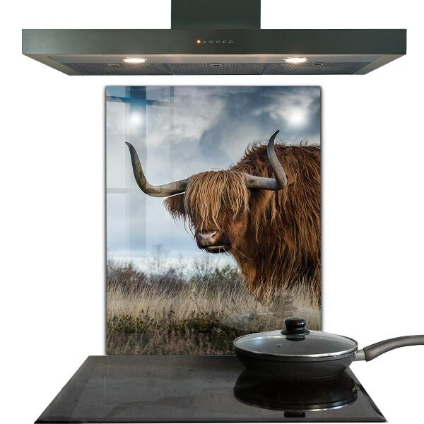 Sticlă bucătărie Vaca highland boho