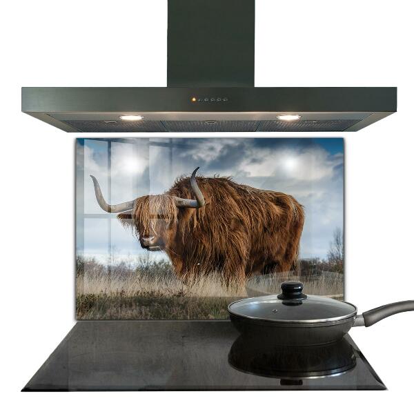 Sticlă bucătărie Vaca highland boho