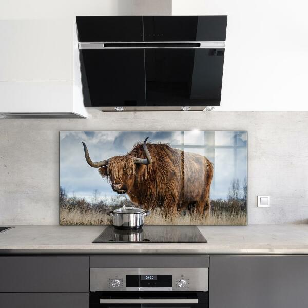 Sticlă bucătărie Vaca highland boho